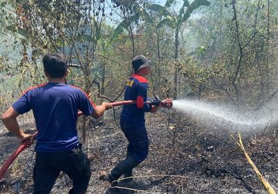Gara-gara Bakar Lahan di Musim Kemarau, Petani di Parepare Hampir Kena Jotos warga