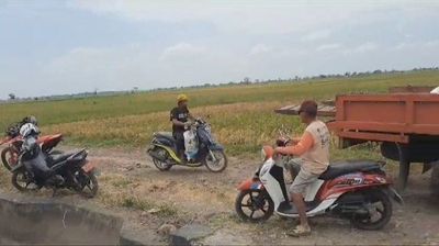Sebanyak 2.000 Hektare Sawah di Sidrap Kekeringan, Petani Terancam Rugi Besar