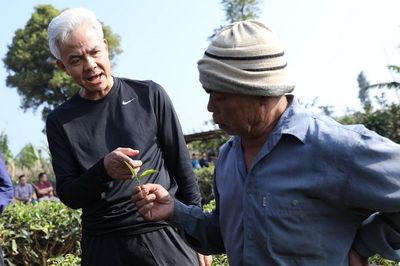 Ganjar Pranowo dan Siti Atikoh Jalan Pagi Sambil Berbincang dengan Petani Kebun Teh di Cianjur
