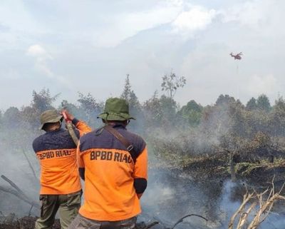 Cegah Kabut Asap, BPBD Riau Semai 500 Kg Garam untuk TMC di Siak dan Pelalawan