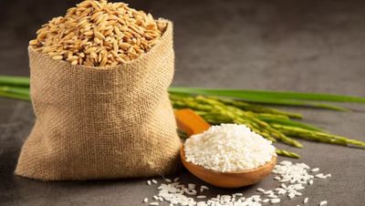 Pemerintah Imbau Masyarakat untuk Tidak Boros Makan Nasi Guna Tekan Impor Beras