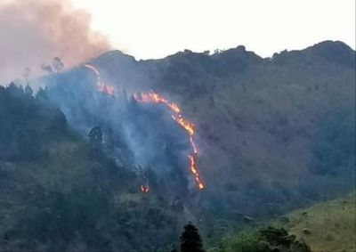 Akibat Insiden Kebakaran, Wilayah Gunung Ungaran Berstatus Siaga 1