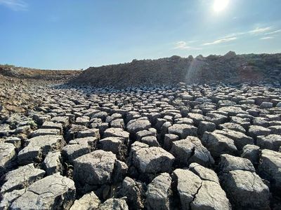 Waduk Waduk Pacuan Kuda Patommo Kering, Nasib Petani di Sidenreng Rappang Menyedihkan Tak Bisa Tanam Padi