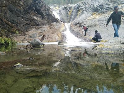 Tercemar Natural, Flora dan Fauna Ogah Tinggal di Air Sungai Kalipait Bondowoso, Ini Penyebabnya!