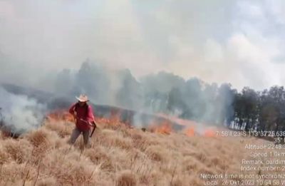 Kebakaran Melanda Kawasan Suaka Margasatwa Dataran Tinggi Gunung Argopuro, Pendakian Ditutup Sementara