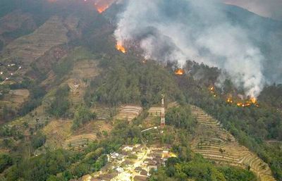 Kebakaran Hutan Merbabu Meluas, 91 Jiwa Terpaksa Diungsikan
