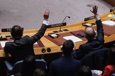 Sebut PBB Kalah dari AS Soal Genosida Israel di Palestina, Direktur HAM Mundur dari Jabatan