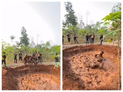 Viral Dugaan Perploncoan di Balai Diklat LHK Rumpin Bogor