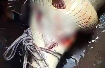 Jenazah Pelajar SD Kotawaringin Barat Korban Terkaman Buaya Ditemukan