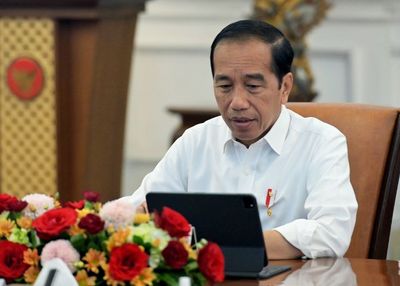 Program Food Estate Besutan Presiden Jokowi Disebut Jauh Lebih Lengkap dan Visioner Ketimbang Contract Farming
