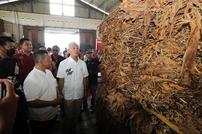 Tekad Ganjar Pranowo Jadikan Jateng sebagai Pusat Tembakau Indonesia