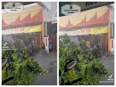 Kasihan! Andong tertimpa pohon di Jogja, Kusir dan Kuda Selamat
