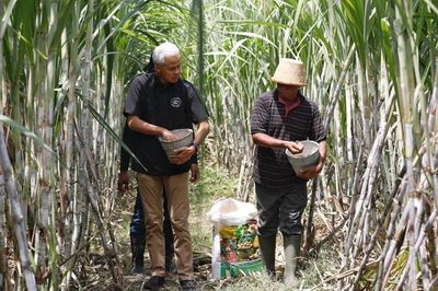 Dikeluhkan Petani Tebu soal Impor Gula, Ganjar Komit Bakal Utamakan Produk Dalam Negeri