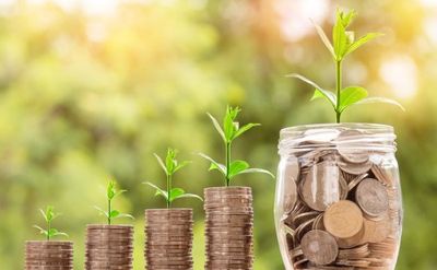 Apa itu Greenflation dan Hubungannya dengan Ekonomi Hijau?