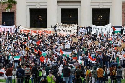 Universitas Hardvard Dikritik Tidak Lindungi Mahasiswa Yang Pro Palestina Dari Ancaman Kekerasan