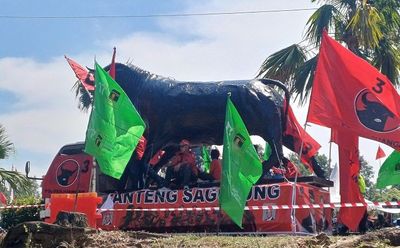 Banteng Moncong Putih dan Mata Merah Meriahkan Kampanye Mahfud MD di Batam