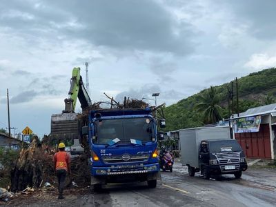 Rawan Pohon Tua di Pinggir Jalan, Pengendara di jalur Trans Sulawesi di Himbau Waspada