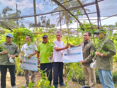 Gencarkan Ekonomi Hijau, PLN EPI Tambah 50 Ribu Tanaman Biomassa di Gunungkidul