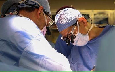 Pertama Kali Dalam Sejarah, Dokter Sukses Cangkok Ginjal Babi ke Manusia Hidup