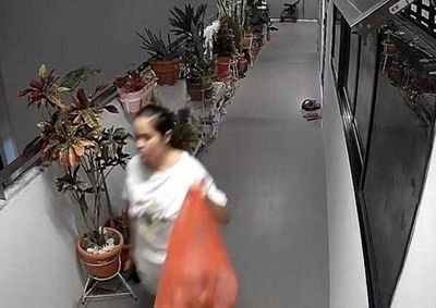 Modus Buang Sampah, TKI di Singapura Kabur dari Rumah Majikan
