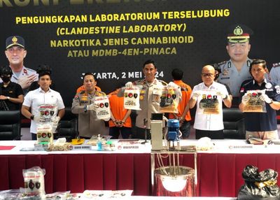 Bikin Merinding! Ini Bahaya Ganja Sinte Buatan Pabrik di Rumah Elite Sentul