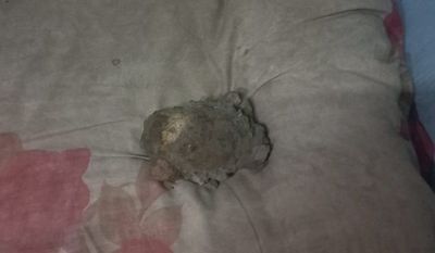 Heboh! Benda Diduga Granat Ditemukan di Pemancingan Jakut