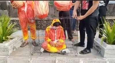 Langgar Kesejahteraan Hewan, AFJ Tolak Kandang Baterai Ayam Petelur