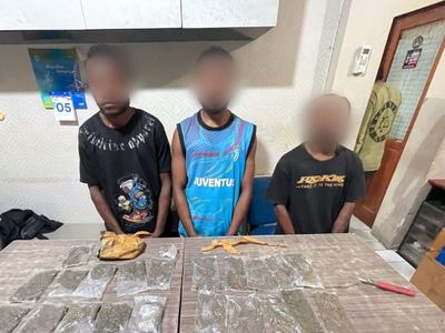 2 WNA Papua Nugini Ditangkap Polri, Diduga Pengedar Ganja Kelas Kakap