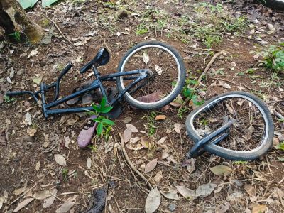 Izin Main Bersepeda Berujung Tragis, Kakek di Jember Syok Dapati Cucunya Tewas Usai Tabrak Pohon Karet