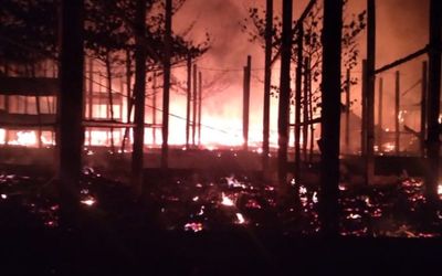 Dua Kandang Terbakar, Ratusan Ayam Terpanggang hingga Rugi Rp5 Miliar!