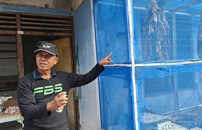 Kreatif! Warga Yogyakarta Kurangi Sampah 1,5 Ton Per Hari dengan Ternak Maggot
