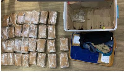 Tangkap 2 Pelaku Narkoba di Jakut, Polisi Temukan 30 Kg Ganja Siap Diedarkan di Jakarta