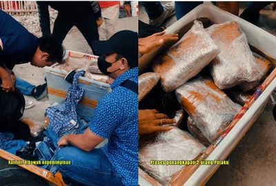 Kronologi Penangkapan Bandar 30 Kg Ganja di Jakut: Pakai Jasa Ekspedisi Hingga Kejar-Kejaran