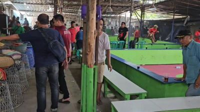 Kasus Sabung Ayam di Bekasi, 58 Orang Jadi Tersangka!
