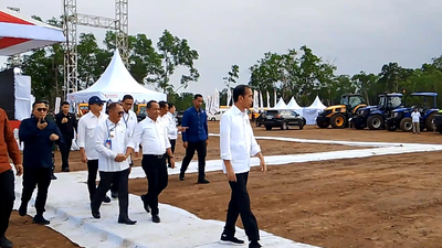 Dorong Investasi Gula, Presiden Jokowi Tinjau Lahan Tebu di Merauke