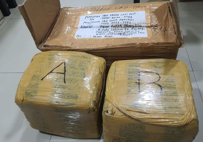 Bawa 7 Kg Ganja Tengah Malam di Daan Mogot Jakbar, Pria Ini Ditangkap Polisi