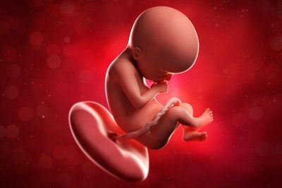 4 Fakta Pemerintah Legalkan Aborsi bagi Korban Pemerkosaan