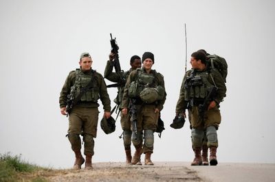 Miris! Hidung dan Telinga Tentara Israel Digigit Tikus hingga Hampir Kehabisan Darah