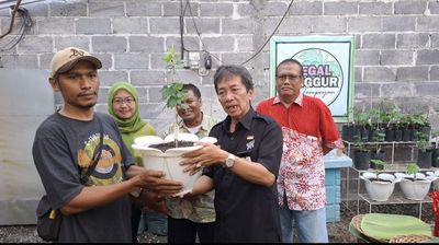 Kunjungi Kampung Anggur Kota Jogja, Pj Wali Kota Sugeng : Tidak Ada Lagi Alasan Tidak Bertani Meski di Lahan Sempit