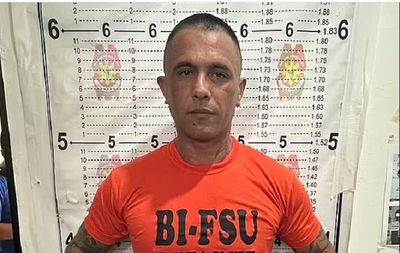 Pintu Masuk Polri Dapat Buronan Kartel Narkoba Gregor Haas Usai Tangkap Alice Guo