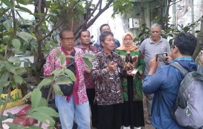 Kunjungi Wilayah Produk Jambu di Pusat Kota Jogja, Pj Walikota: Ini Bisa Jadi Role Model Buat Wilayah Lain