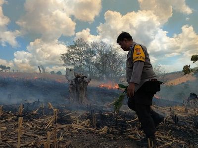 Aksi Heroik Aiptu Herman Selamatkan Ladang Jagung Milik Warga dari Kebakaran di Parepare