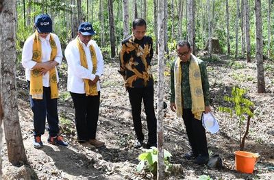 Presiden Jokowi Resmikan Wanagama Nusantara di IKN untuk Pendidikan dan Restorasi Lingkungan