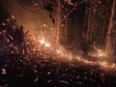 Kebakaran Hutan Jati di Lereng Gunung Sekitar Pantai Papuma, Dua Titik Api Dengan Luas 5 Hektar Lebih