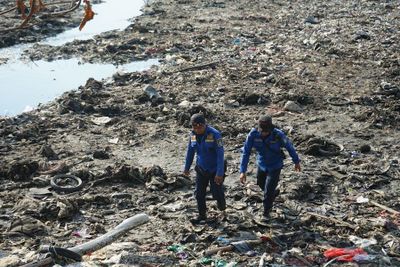 Petugas Gabungan Pakai 2 Ekor Ayam untuk Tangkap Buaya Viral di Parepare
