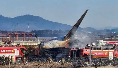 Mengenal Fenomena Bird Strike, Ancaman Burung bagi Keamanan Penerbangan yang Sebabkan Kecelakaan Jeju Air