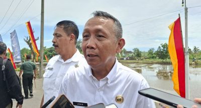 Ratusan Sapi di Bantul Terjangkit PMK, Ini yang Akan Dilakukan DKPP