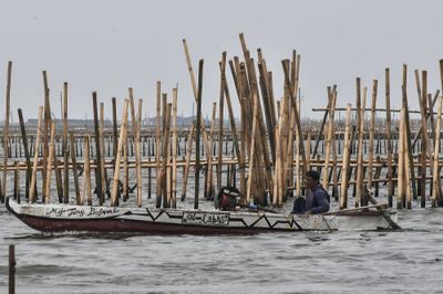Pengakuan Mengejutkan Kades Kohod Soal Pagar Laut Perairan Tangerang, Sudah Dikantongi Bareskrim