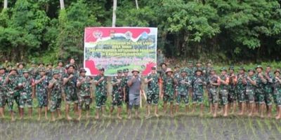 Demi Perkuat Ketahanan Pangan, Kodim 1616 Gianyar Tanam Padi Organik