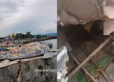 Patung Kura-Kura Bernilai Rp15 Miliar di Sukabumi Rusak, Ternyata Terbuat dari Bahan Kardus